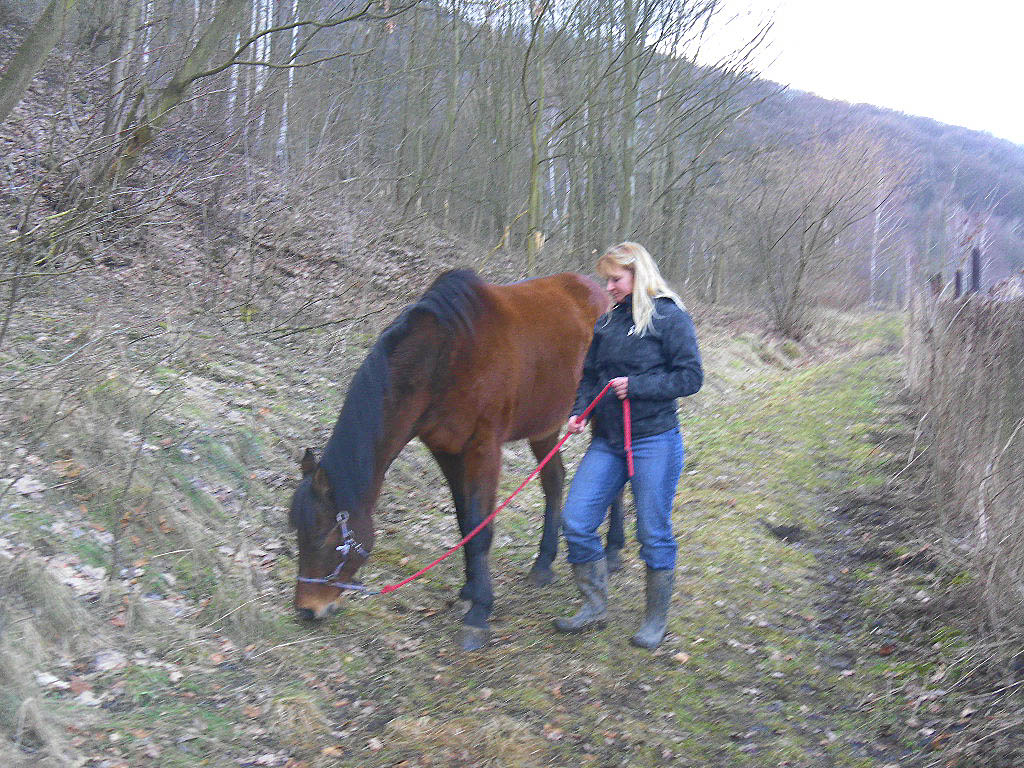 gejzicek6.2.2011